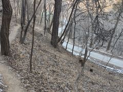 -龙洞风景区-藏龙涧