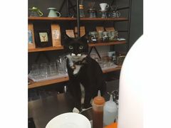 -研途咖啡馆(健康路店)