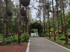 -东平国家森林公园