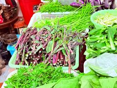 -柘林湖生态鱼馆