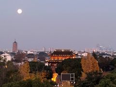 -顽啤熊·酒客酒馆(苏城夜景必选店)