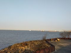 -上海滨江森林公园