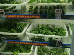 -黔府豆米火锅野菜馆(南马店)