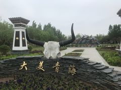 -武清南湖绿博园