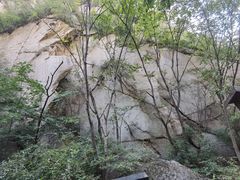 -大岭沟猕猴桃谷风景区