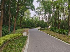 -昆山城市生态森林公园