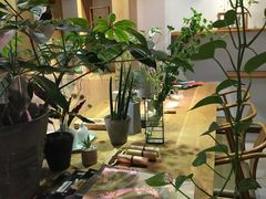 大堂-柴务处·柴犬主题狗咖