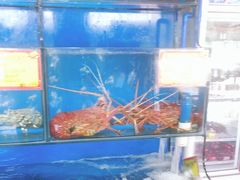 水产区-蚝专家(北滘店)
