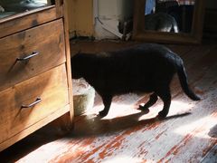 -春风十里咖啡馆