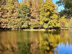 -上海共青森林公园