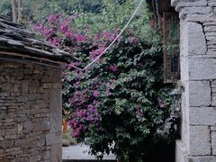 -高荡千年布依古寨旅游景区