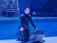-西安华夏文旅水世界