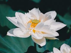 -重元寺