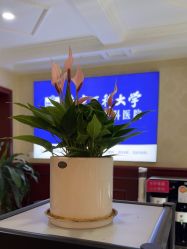 -南京医科大学友谊整形外科医院