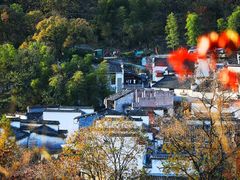 -塔川景区