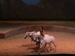 -cavalia·舞马