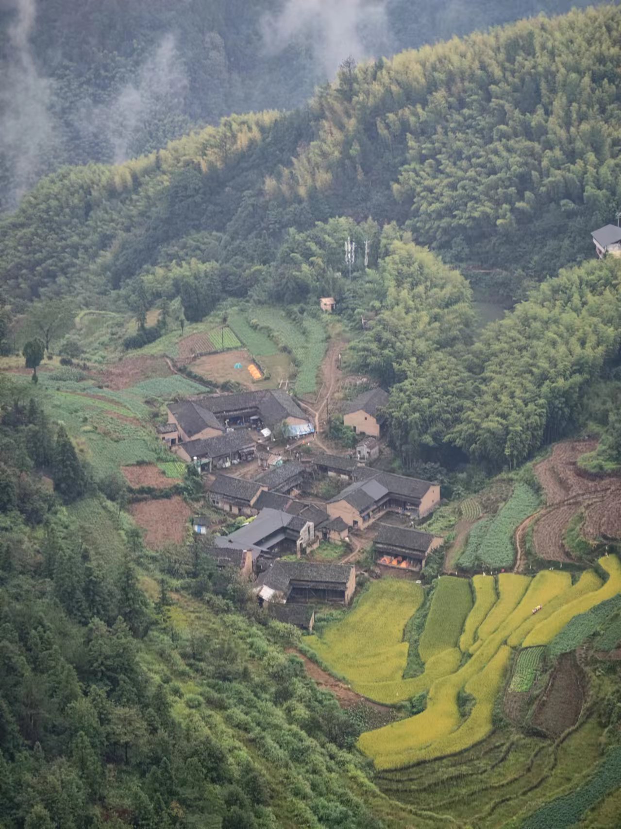 浙江仙居公盂村图片