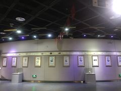 -陕西自然博物馆