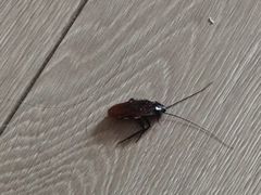 -如家酒店·neo(南昌八一广场师大南路地铁站店)