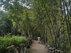 -老木棉·匠园