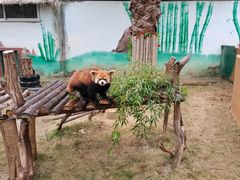 -泉州海丝野生动物世界