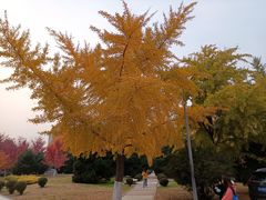 -辽宁大学(崇山校区)