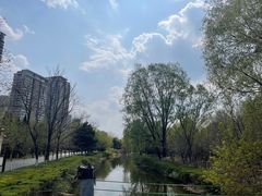 -长白岛森林公园