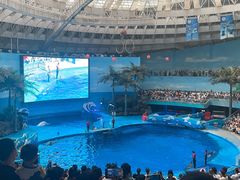 -海合安成都极地海洋公园