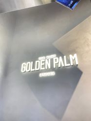 点击看大图 -金棕榈