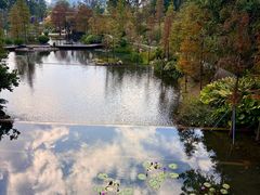 -云溪植物园