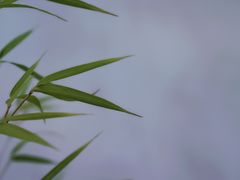 -浔岚云舍mist静谧观景美宿(丽江古城店)