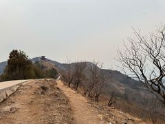 -十三陵水库