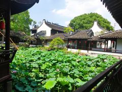 -上海醉白池公园