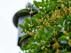 -贵阳市花溪国家城市湿地公园