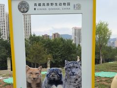 -青藏高原野生动物园