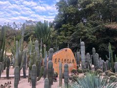 -深圳仙湖植物园