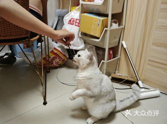 #城市向导官#我城市的宝藏影院# 煲珠公水果奶茶