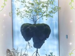 -宫七SPA·高端Massage(浦东大道店)