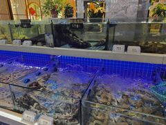 -大众海鲜(巨龙北路店)