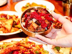 -柴窝堡22号辣子鸡·传承新疆菜