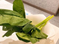 菠菜-牛焱·贵州黄牛肉火锅(城西银泰店)