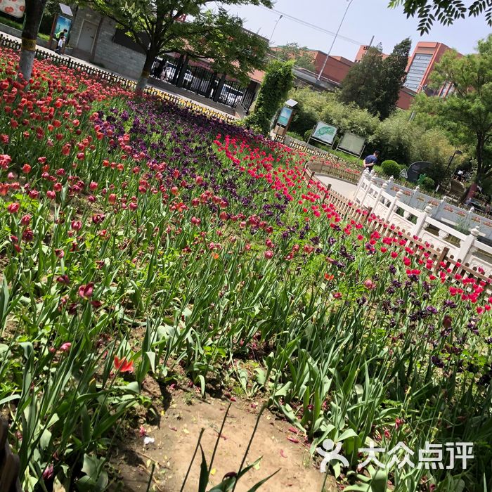 豐臺花園