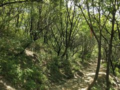 -妙峰山风景名胜区