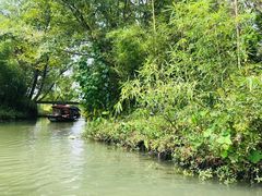 -西溪国家湿地公园