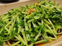 -MR鹅外