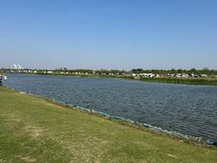 -春花秋色城市公园