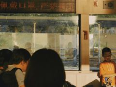 -武汉关码头(轮渡站)