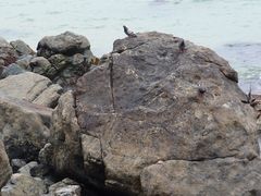 -海云台海滩