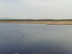 -野鸭湖国家湿地公园