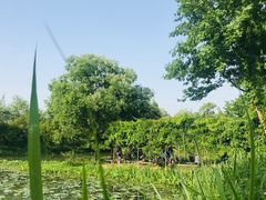 -西溪国家湿地公园